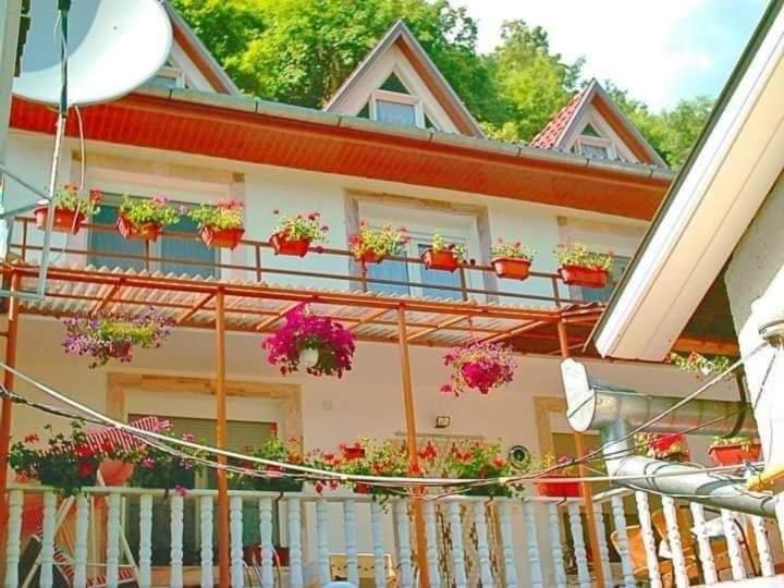 Pensiunea Ca La Mama Acasa Resita Exterior foto